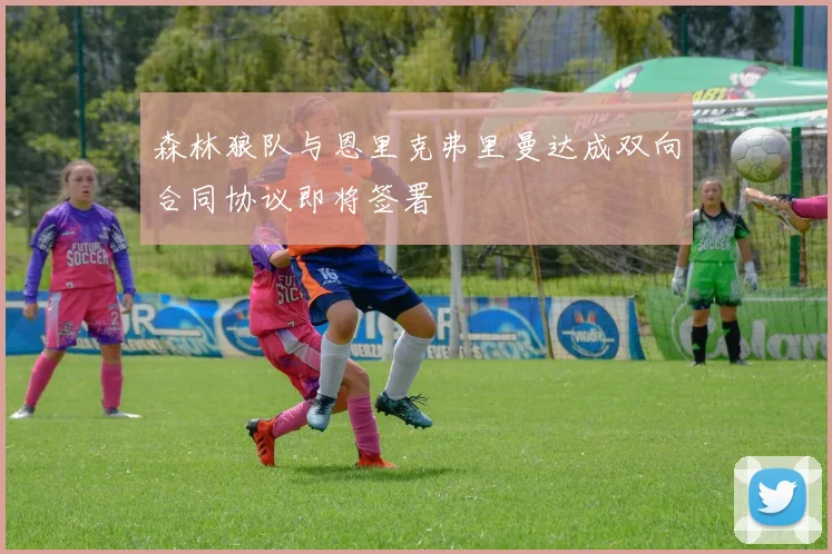 森林狼队与恩里克弗里曼达成双向合同协议即将签署