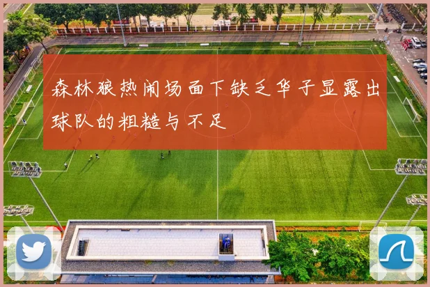 森林狼热闹场面下缺乏华子显露出球队的粗糙与不足