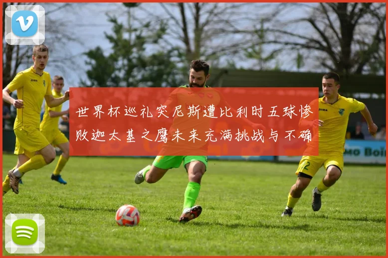 世界杯巡礼突尼斯遭比利时五球惨败迦太基之鹰未来充满挑战与不确定性